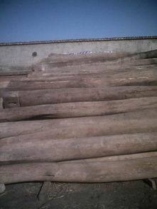 榆木梁高清圖片賞析及全木業(yè)有限責任公司介紹